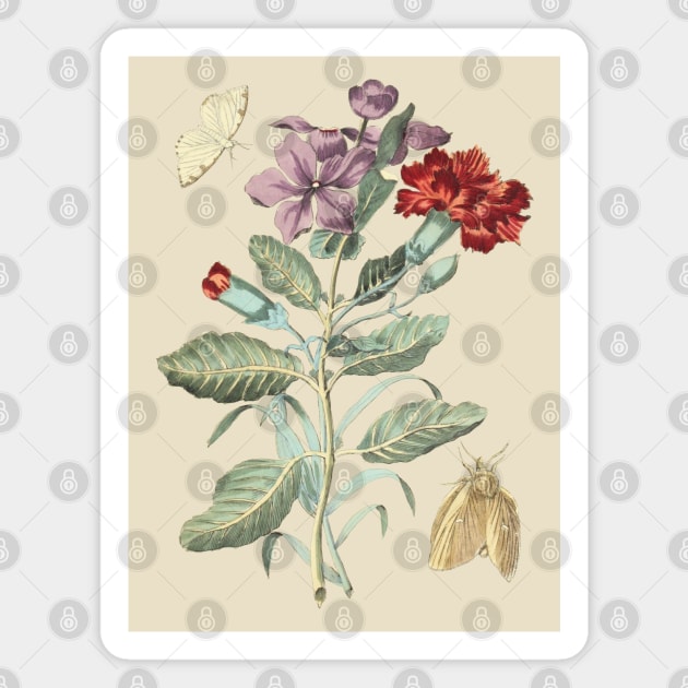 Flowers and Moths Vintage Botanical Illustration Magnet by Biophilia